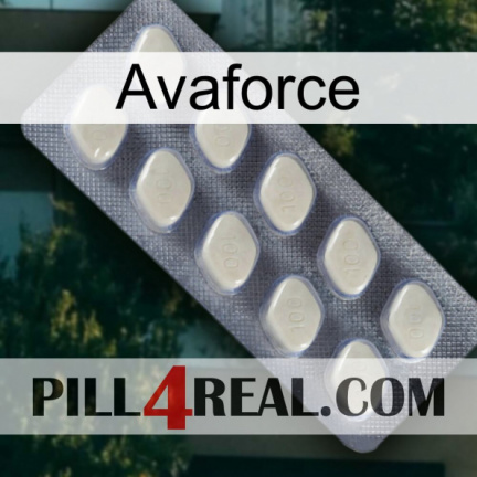 Avaforce 08